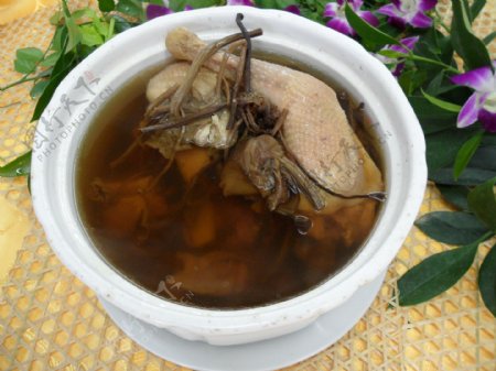 茶树菇炖老鸡图片