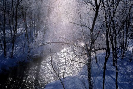 冬季小溪图片