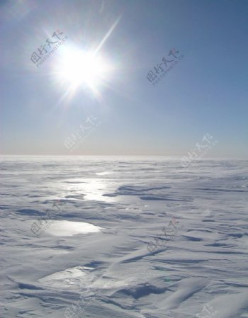 阳光下的雪原图片