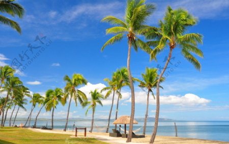 斐济维提岛海边风光图片
