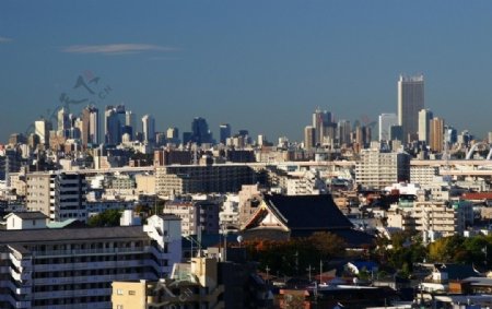东京阳光初照下的城市美景图片