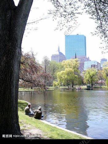 波士頓公園春景图片