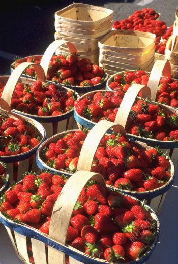 普罗旺斯市场的草莓图片
