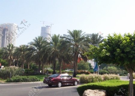 迪拜街景图片