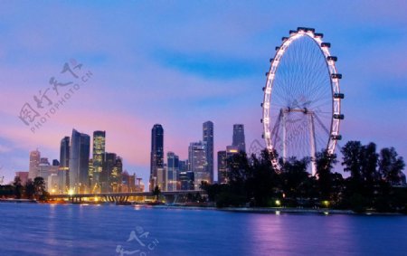 新加坡摩天观景轮夜景图片