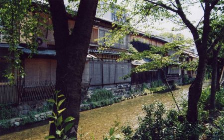 日本京都歌舞伎的木屋图片