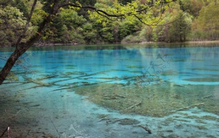 碧水圖片