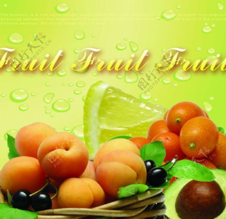 水果fruit图片