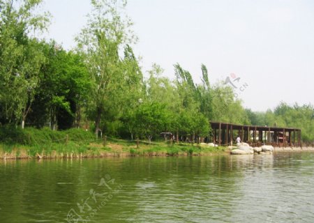 清湖染绿图片