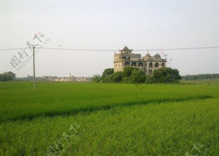 田野中的碉楼图片