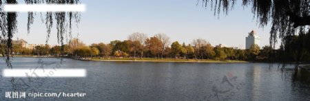 秋天的陶然亭公园图片