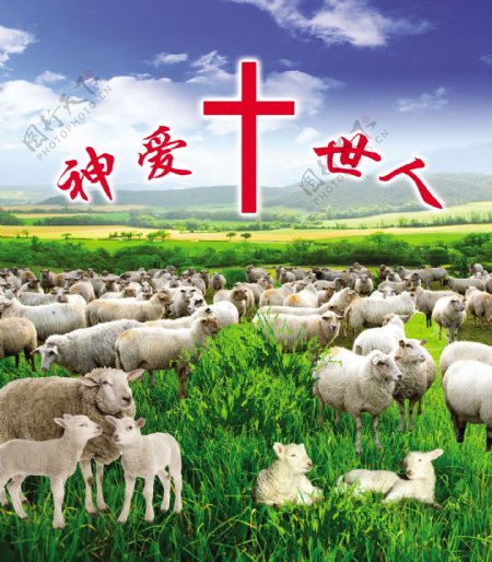 教牧羊图图片