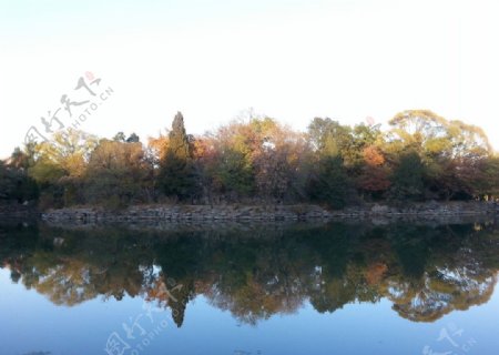 秋日未名湖图片