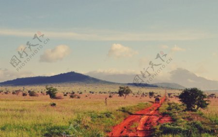 非洲草原图片