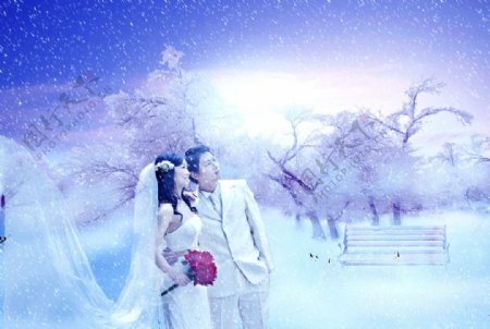 婚纱雪景图片
