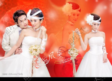 MP07601花的嫁纱婚纱模板5图片