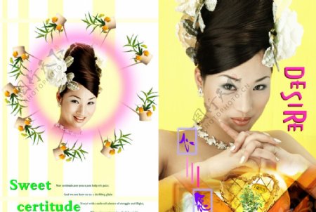 广告艺术美图名片图片黄色婚纱摄影卷轴