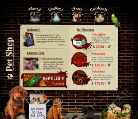 宠物商店网站素材图片