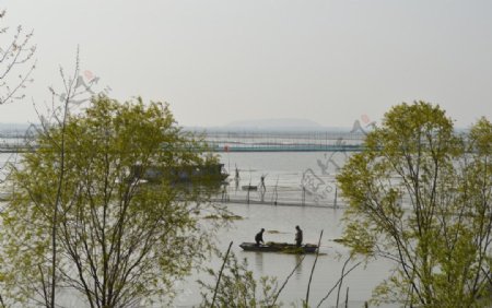 女山湖春天图片