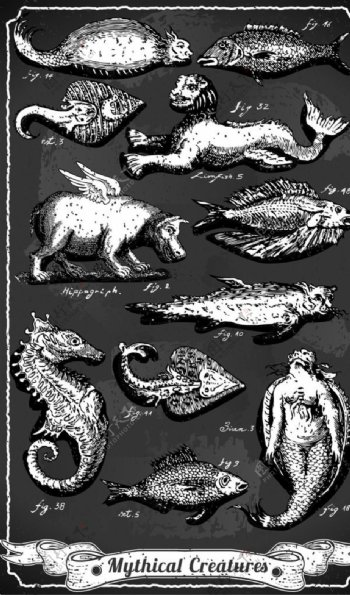 欧式动物花纹图片