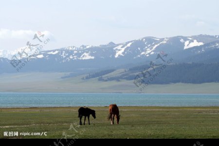 新疆塞里木湖畔图片