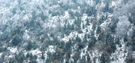 刘乡山区雪景图片