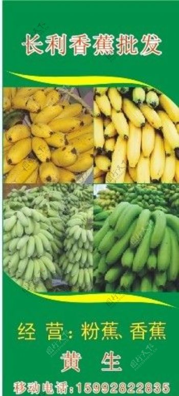 长利香蕉展架图片