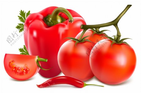 蔬菜番茄辣椒图片