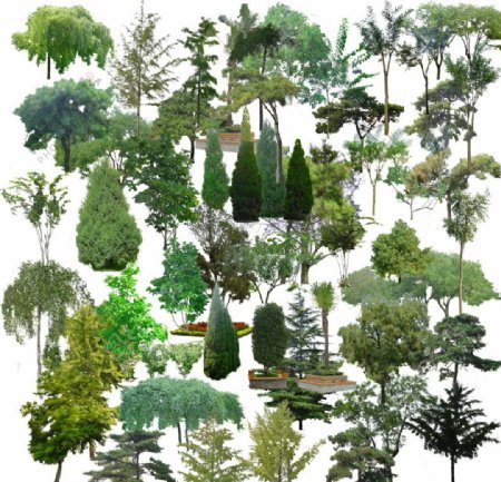 各种树木分层素材图片