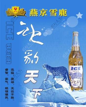 燕京雪鹿啤酒图片