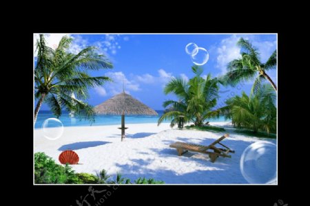 风景沙滩大海椰树图片