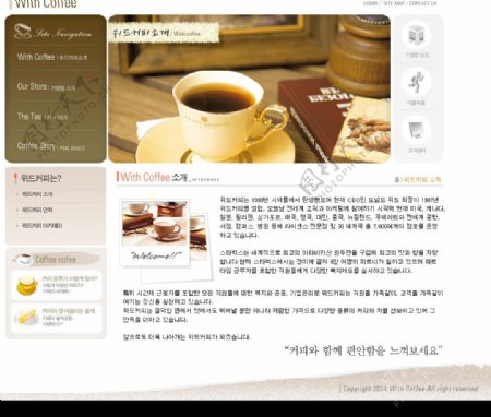韩国摸版咖啡棕色系列2图片