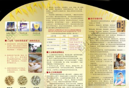 燕麦杂粮三折页图片