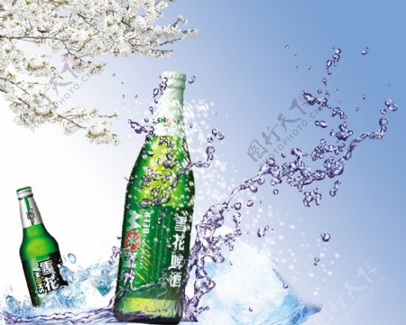 水啤酒樱花樱树蓝色白色图片