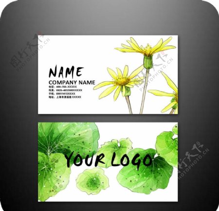 植物名片图片