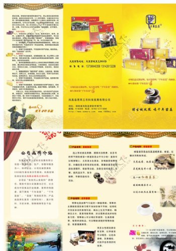姜茶三折页图片