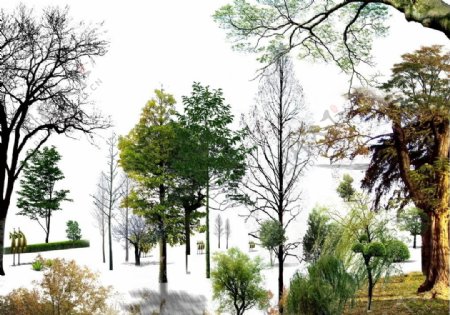 园林景观花草树林鸟瞰透视效果图PSD分层18图片