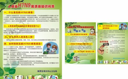 H7N9禽流感海报图片