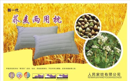 荞麦枕头彩页植物图片