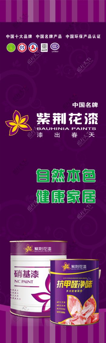 紫荆花漆海报图片