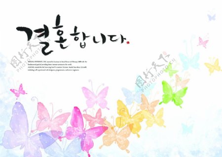 韩式蝴蝶图图片