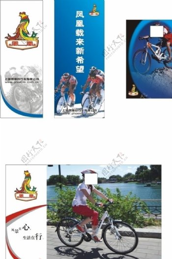 凤凰自行车图片