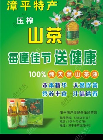 山茶油宣传单油广告图片