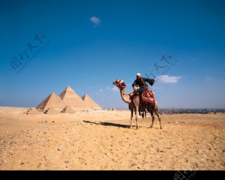 埃及之旅0144