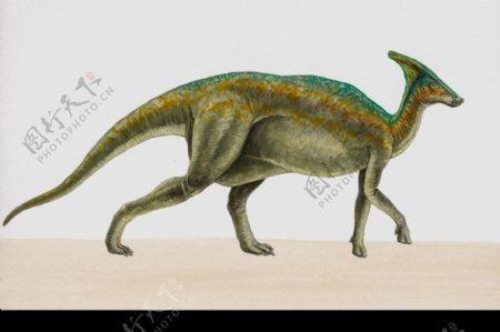 白垩纪恐龙0058