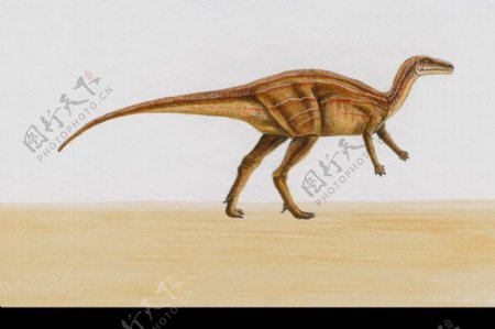 白垩纪恐龙0094