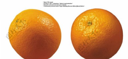 橙子特写0001