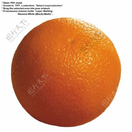 橙子特写0038