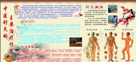 中医针灸宣传栏