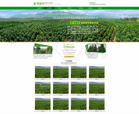 绿色农业苗木网站模版